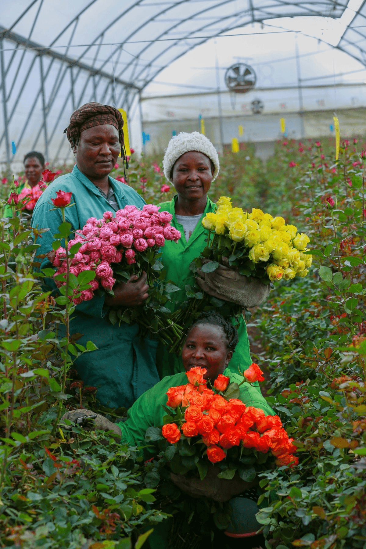 Floriculture Development